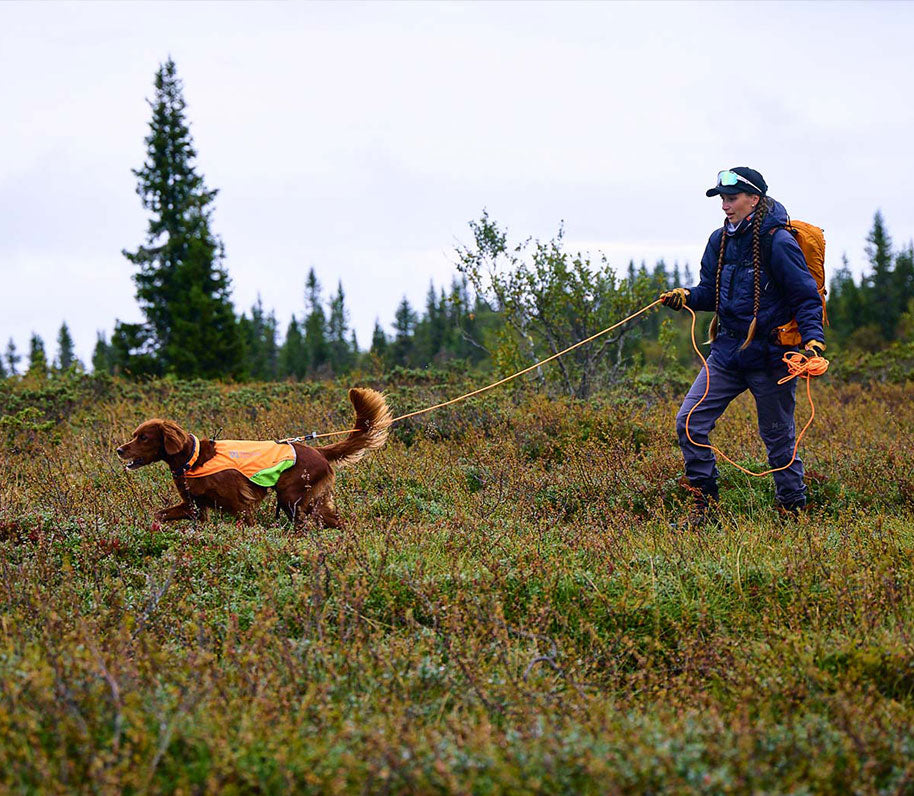Chica practicando mantrailing con su perro border collie