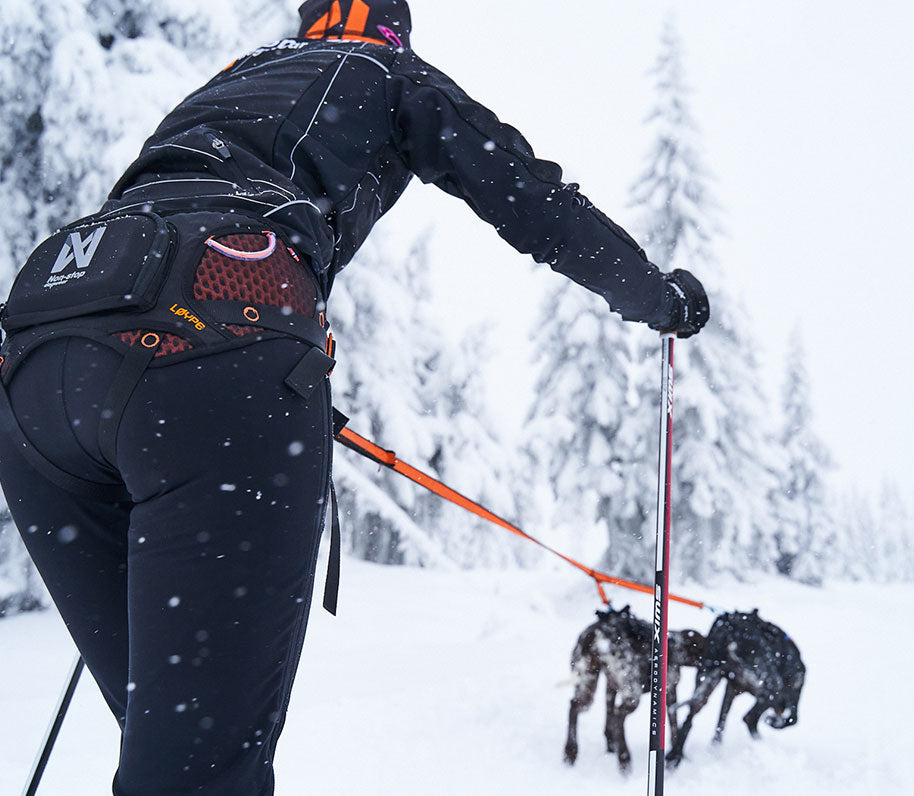 Skijoring con un perro