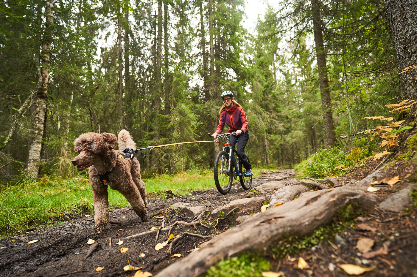 Chica montando en bicicleta con su perro en el bosque.