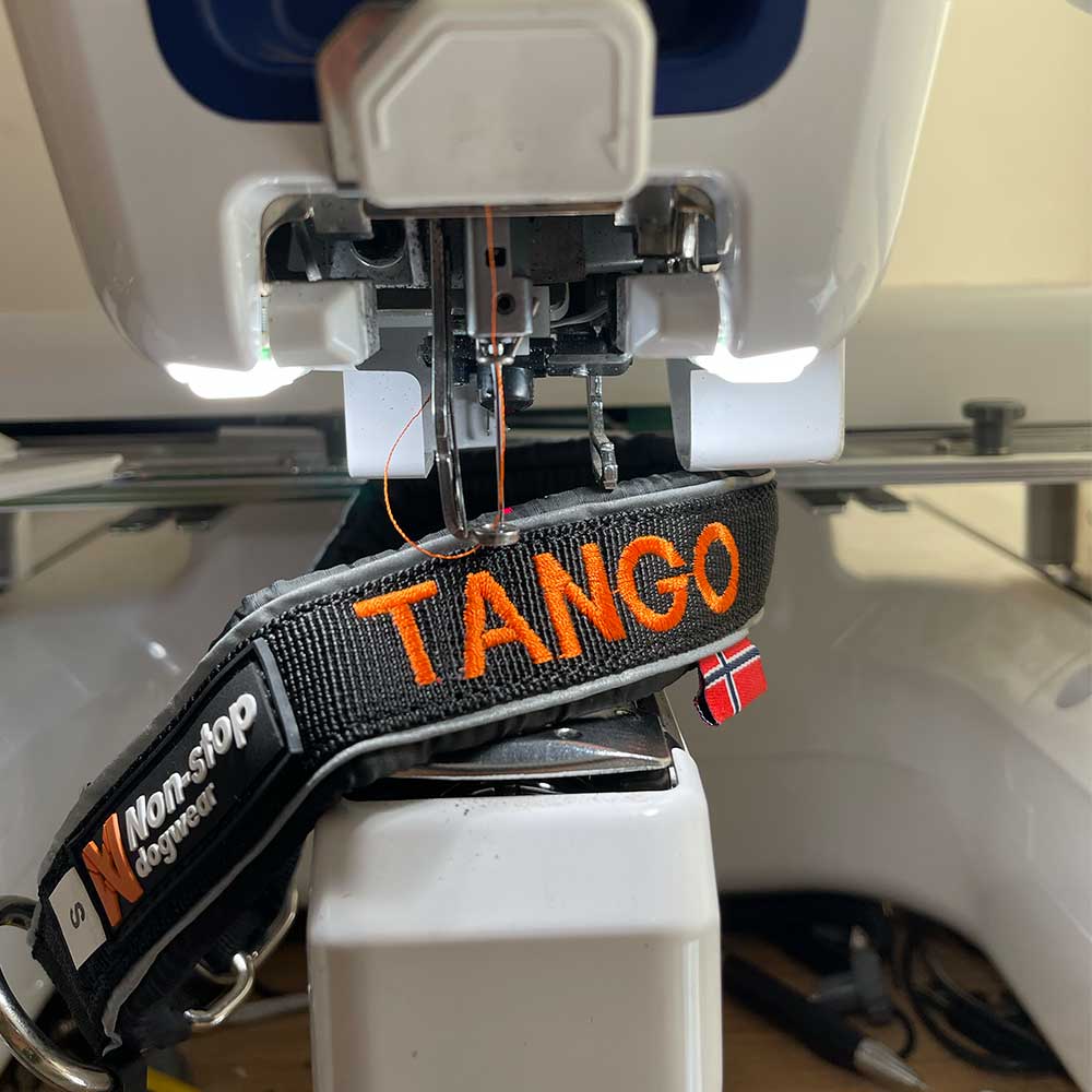 Productos personalizados para perros de Lenanimal, diseñados para perros activos y sus humanos