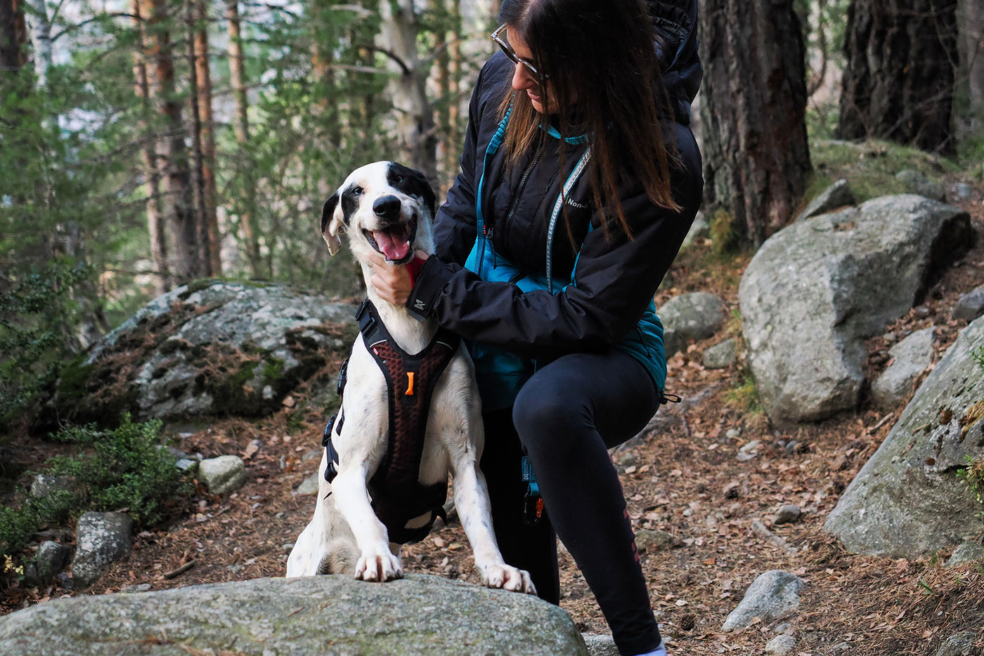 Chica acariciando a su perro blanco de ojos azules en la montañaen