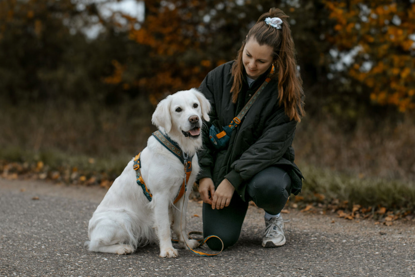 Line harness 5.0 Rachel Pohl cachorro