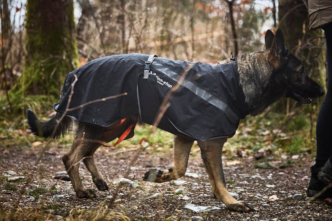 Non-stop dogwear Trekking dog raincoat