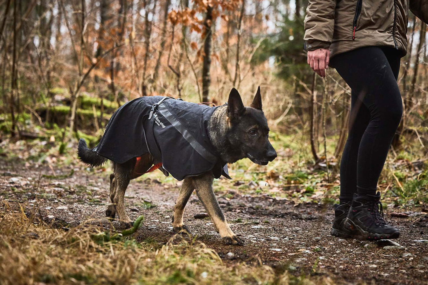 Non-stop dogwear Trekking dog raincoat