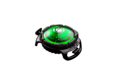 Lud LED para perros Orbiloc Verde