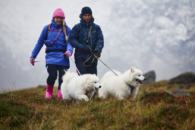 Trail quest leash Rachel Pohl paseo por las montañas