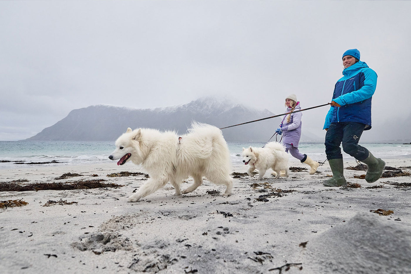 Trail quest leash Rachel Pohl paseo en la nieve con dos samoyedos