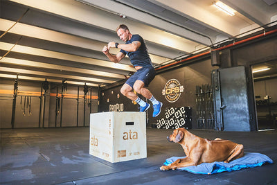 Canix tech tee Non-stop dogwear gym