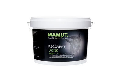Bote de Mamut Recovery drink