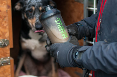 Persona preparando la hidratación de su perro en el bote de Mamut dog nutrition