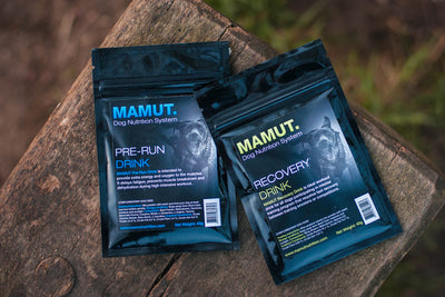 Mamut dog nutrition sobres