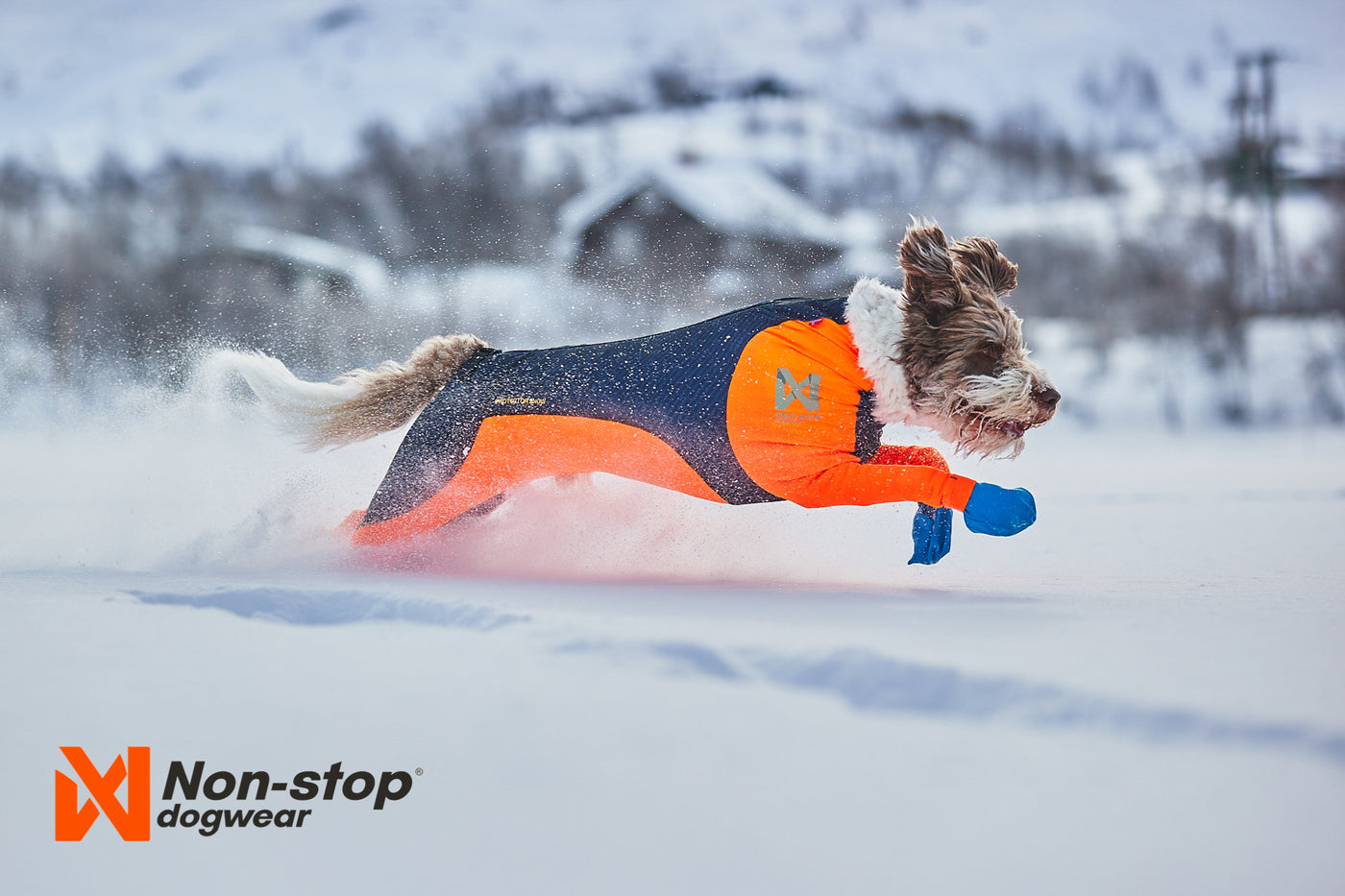 Perro en la nieve con protector snow 